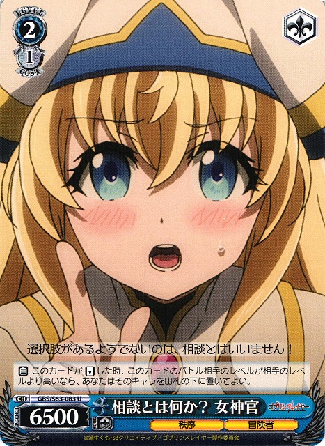 ヴァイス PSA10 清兼なる護り手 女神官 ヴァイス PSA10 清兼なる護り手