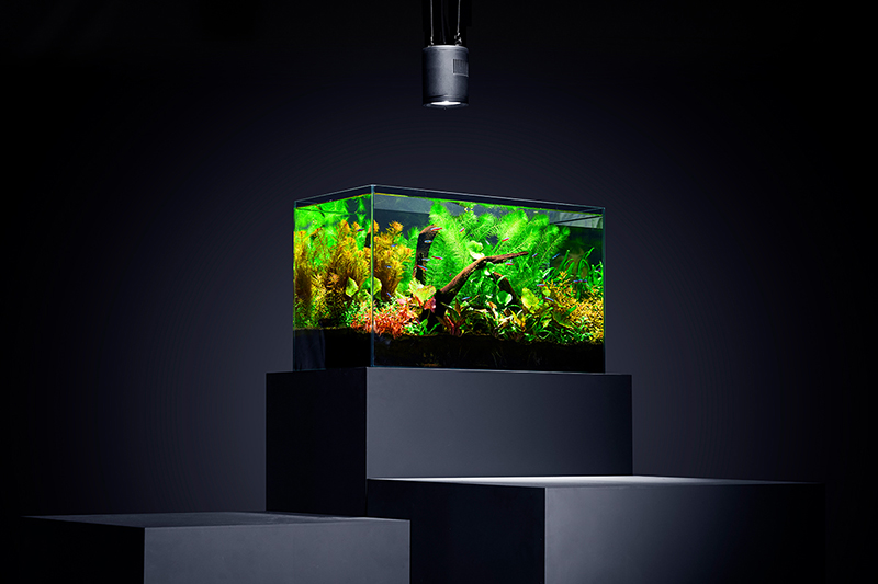 2025-07 GEX aquarista Clear LED RADIUS（ラディアス） / 2025グッド