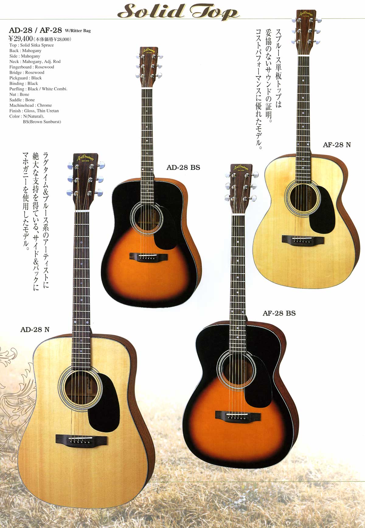 希少】ARIA Dreadnought AF-60 アコースティックギター 専用❗️程度