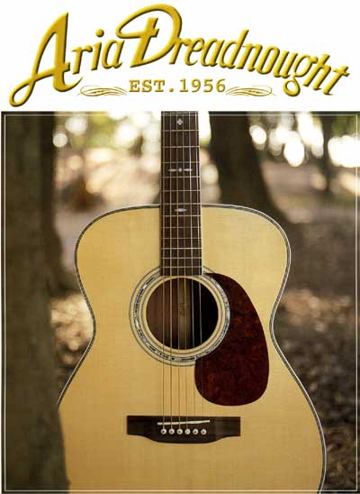 ARIA W-30D アコースティックギター ドレッドノート ARIA W-30D