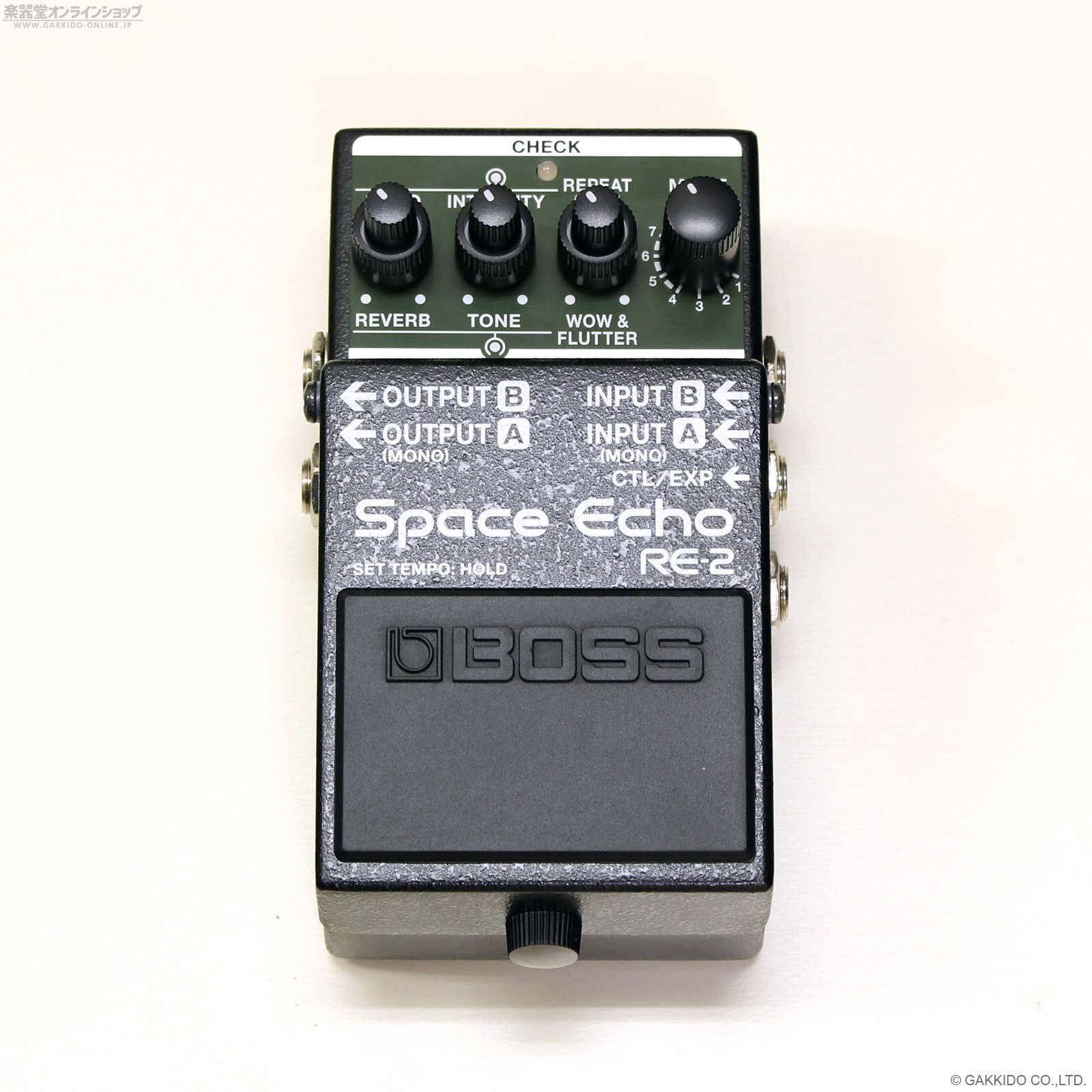 Boss RE-2 Space Echo [中古品] - 楽器堂オンラインショップ