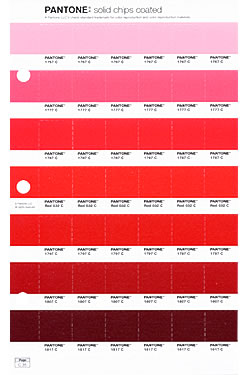 PANTONE（パントン）ソリッドチップス/2冊組(コート紙、上質紙)
