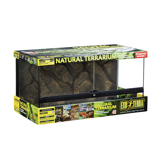 りおちゃん専用エキゾテラ6045 りおちゃん専用エキゾテラ6045 グラス