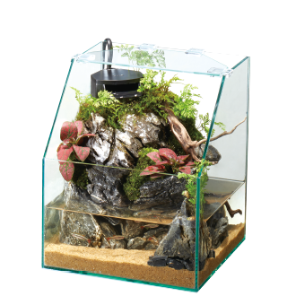 アクアテラ | 水中と陸地を楽しむ水槽飼育 | ジェックス