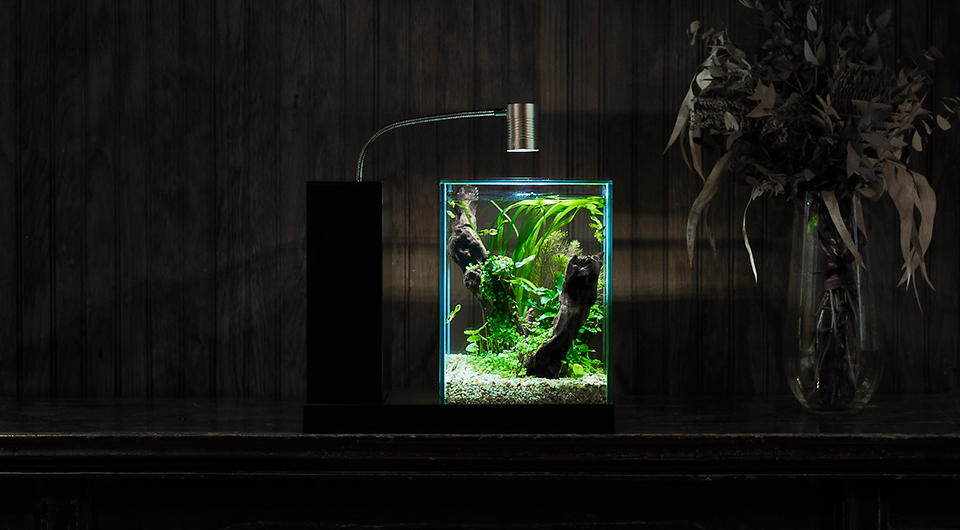 GEX アクアリスタ AQUA-U アクアユー ブラック ガラス水槽 GEX