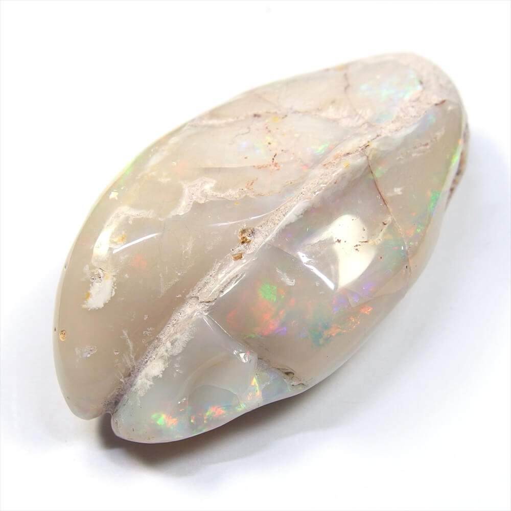 シェルオパール WT089