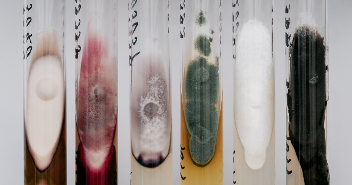 りページ 2012 Kawasaki Ninja ZX-14R: MD Ride Review, Part 1 (with dyno