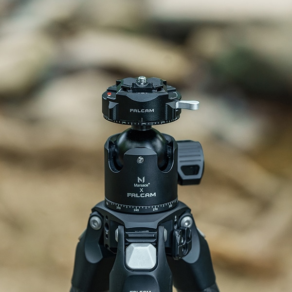 Aria Pro II Va480 ブラックパーツ仕様 アーム付 新品弦張替済 Aria