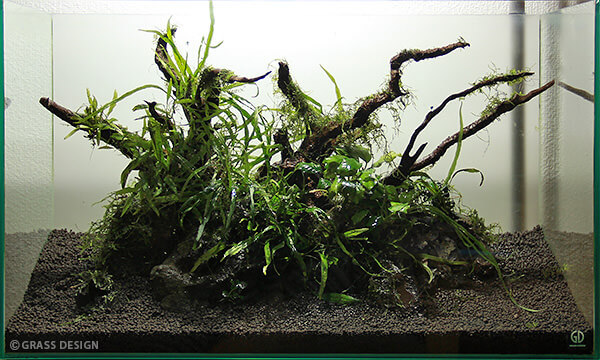 盆栽流木 流木 60センチ水槽 水槽用流木レイアウト 魚の水槽、 水草用