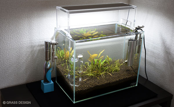Do!aquaのCO2キットは水草水槽におすすめ！ | GRASS DESIGN