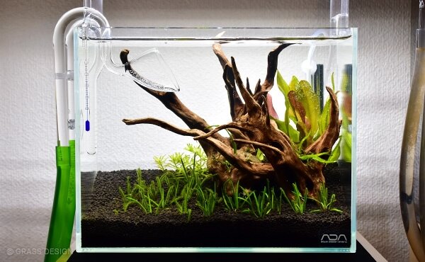 ADA リリィパイプ ADA リリィパイプ P-2とP-6とV-7 ADA リリィ