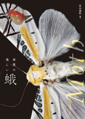 グラフィック社