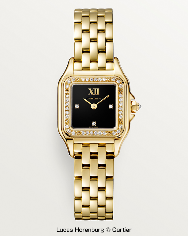 カルティエパンテールリュバン Cartier コンプリート済（2024年11月