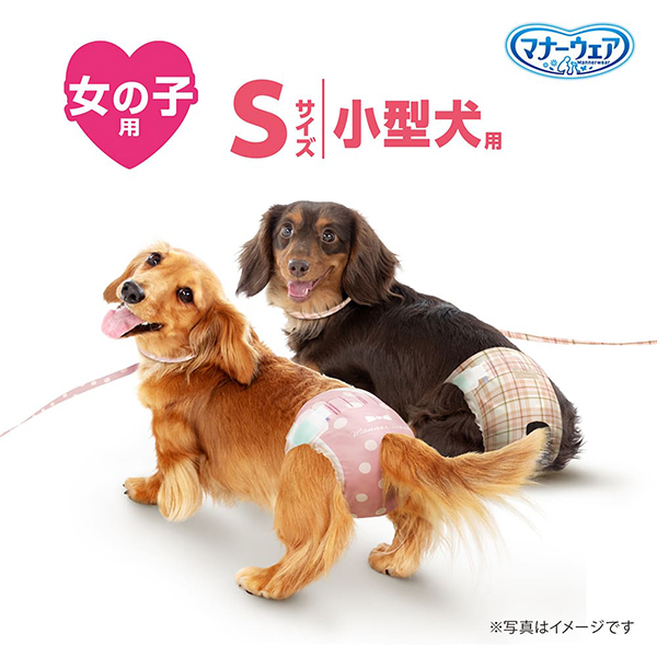 マナーウェア 女の子用 S モーヴピンクドット・ピンクチェック36枚