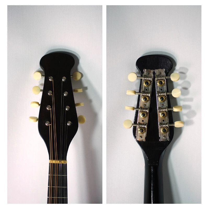 S. Watanabe 【マンドリン / 1963年製 / 渡辺精次】 | D-plus-stock