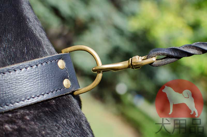 超大型犬用首輪│ 超大型犬用品 - ¥9,184