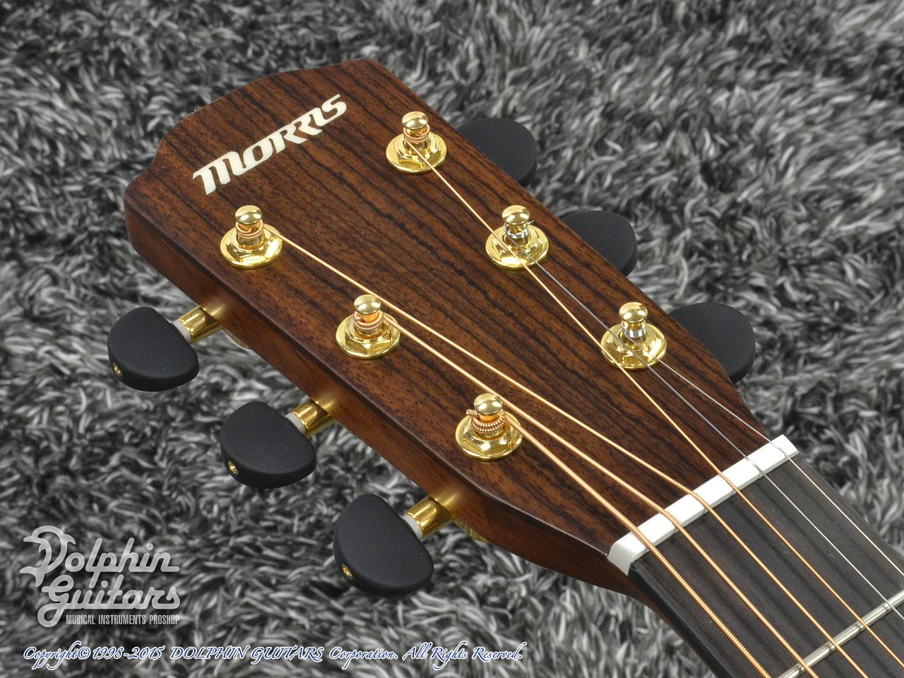 MORRIS F-601C (Mahogany)|ドルフィンギターズ