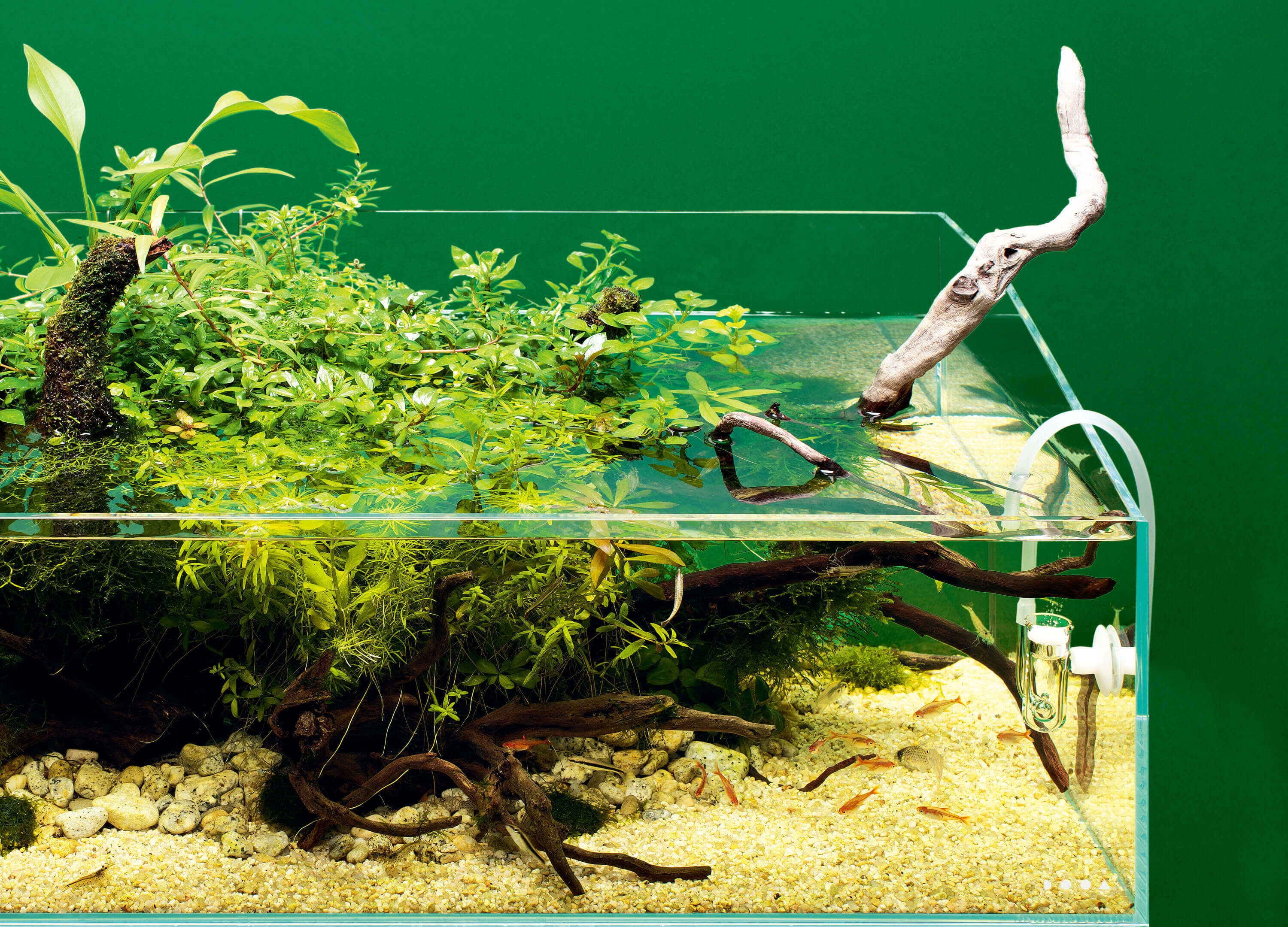 DOOA 侘び草ウォール 60 【未使用品】 ADA