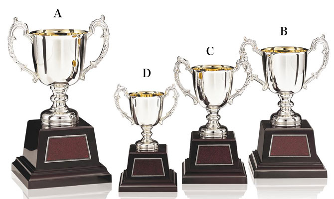 優勝カップ】アンチ製シルバーカップ DAC1320シリーズ（高さ180mm