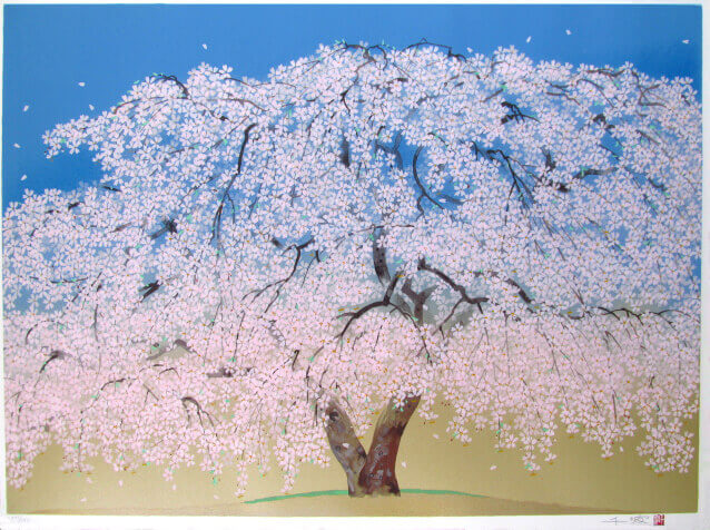 中島千波「高台寺の枝垂桜」