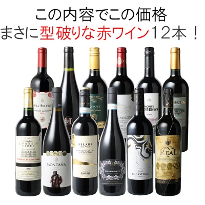 送料無料】ワインセット 渾身 赤ワイン 12本 セット ボルドー フランス