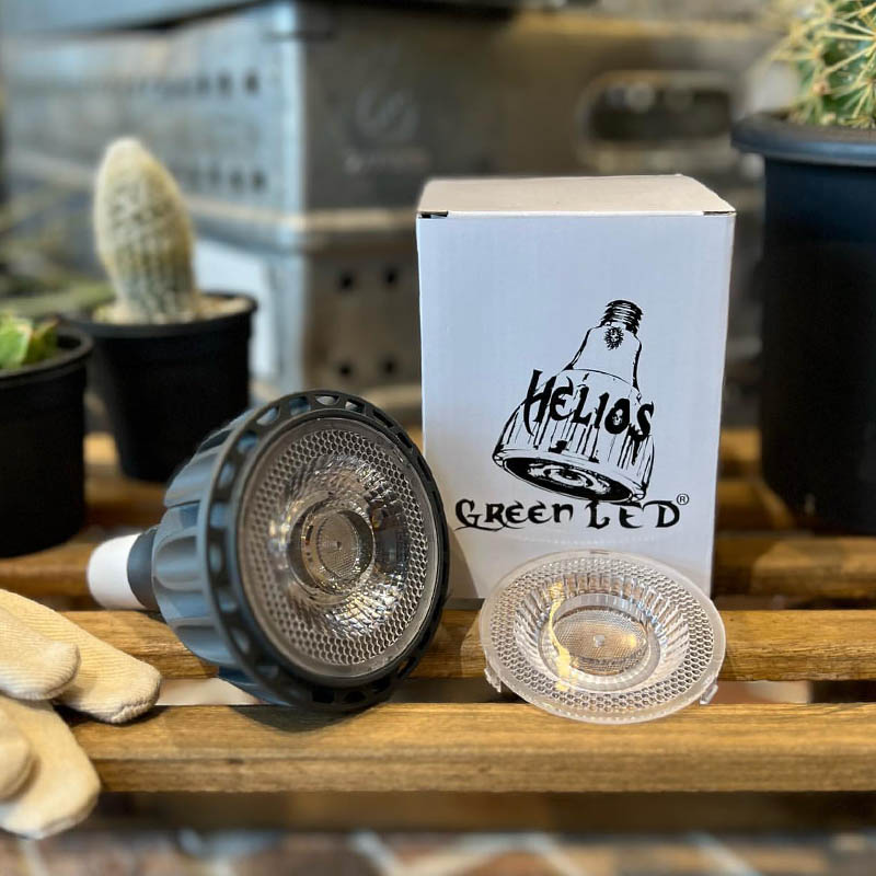 DULTON ONLINE SHOP | Helios Green LED(24W): ガーデン & アウトドア