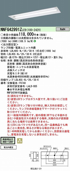 NNFG42991ZLE9 | コネクトオンライン