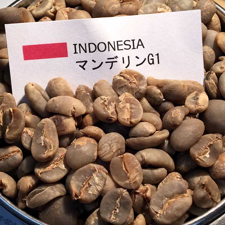 コーヒー生豆】マンデリンG1 10kg ※送料無料!