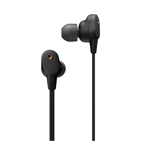 SONY WI-1000XM2 – e☆イヤホン