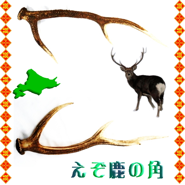 鹿の角 2本セット 現状 鹿の角 シカ 天然 蝦夷鹿 NO 飾り