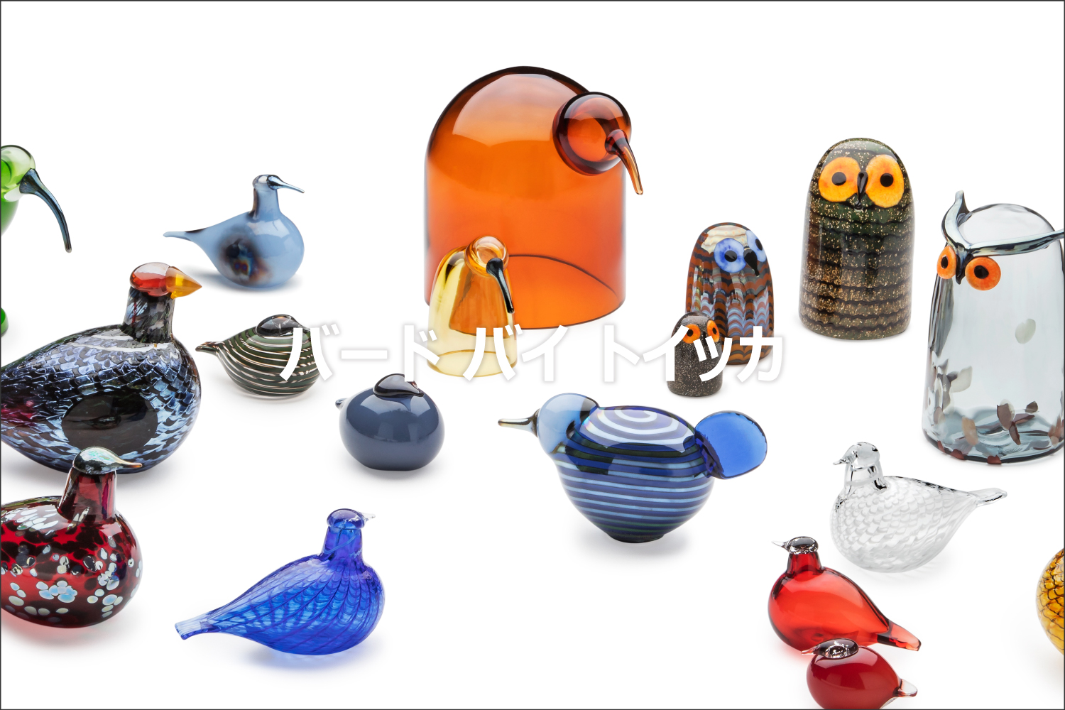 レア！ 200羽限定 木箱付き イッタラ シャンハイバード シティバード