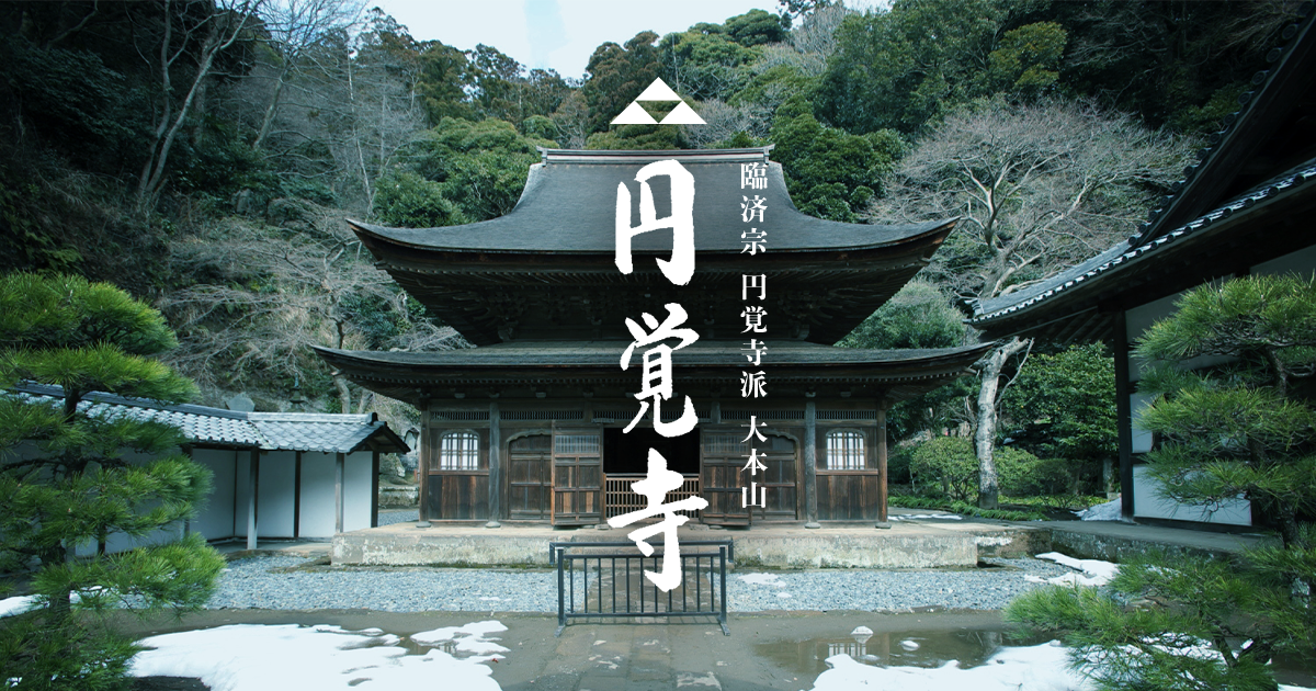 坂村真民先生の扇面台紙に書かれた書 七福来々 坂村