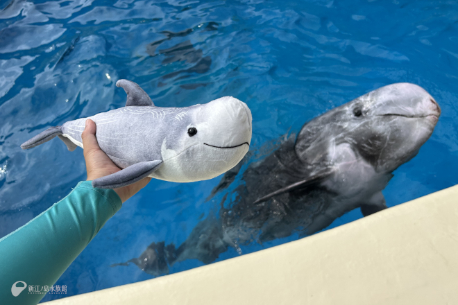 最近の「ビーナ」と私15 | えのすいトリーター日誌 | 新江ノ島水族館