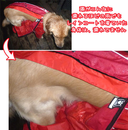 フルッタ（Hurtta）エクスペディションパーカー（マントタイプ）北欧