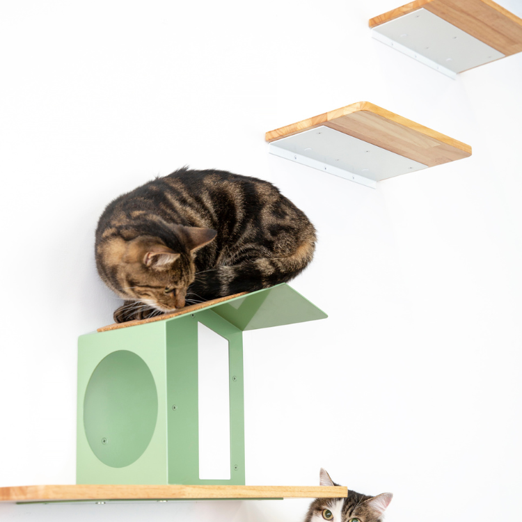 キャットステップ【セット品】 ekrea Parts（エクレアパーツ