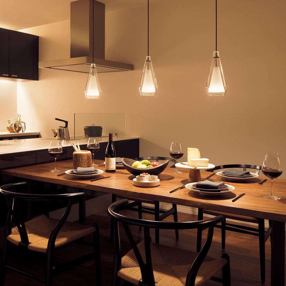 Panasonic ダクトレール用ペンダントライト 2灯セット Panasonic