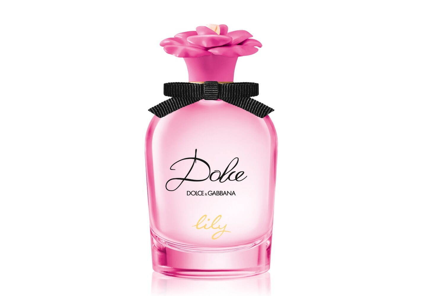 ドルチェ＆ガッバーナ ビューティ22年春フレグランス、“ピンクの百合