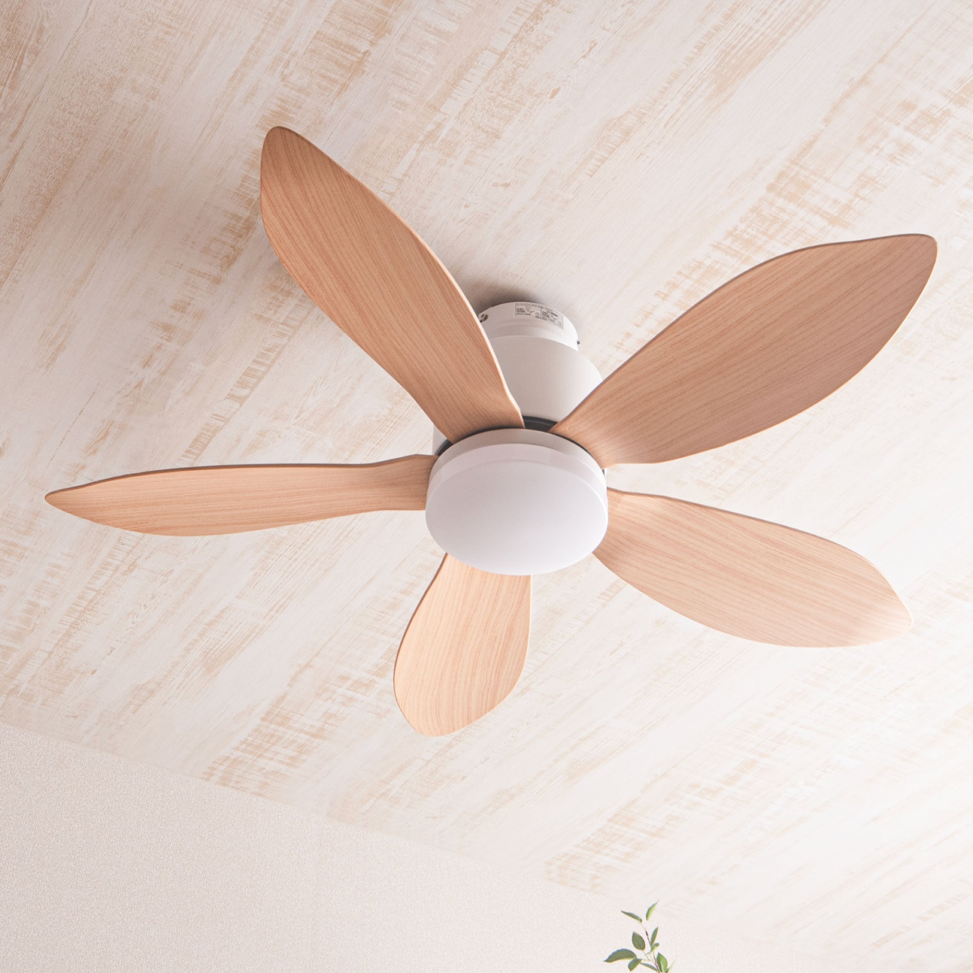 あす着] シーリングファンライト 傾斜天井対応 リモコン付 DCモーター