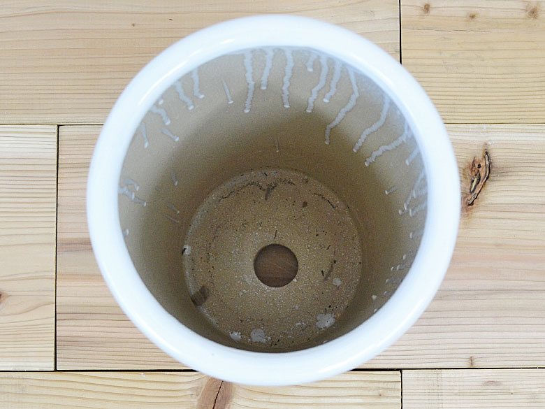 観葉植物の販売・ギフトならフラワーコーポレーション / 円柱形陶器鉢M