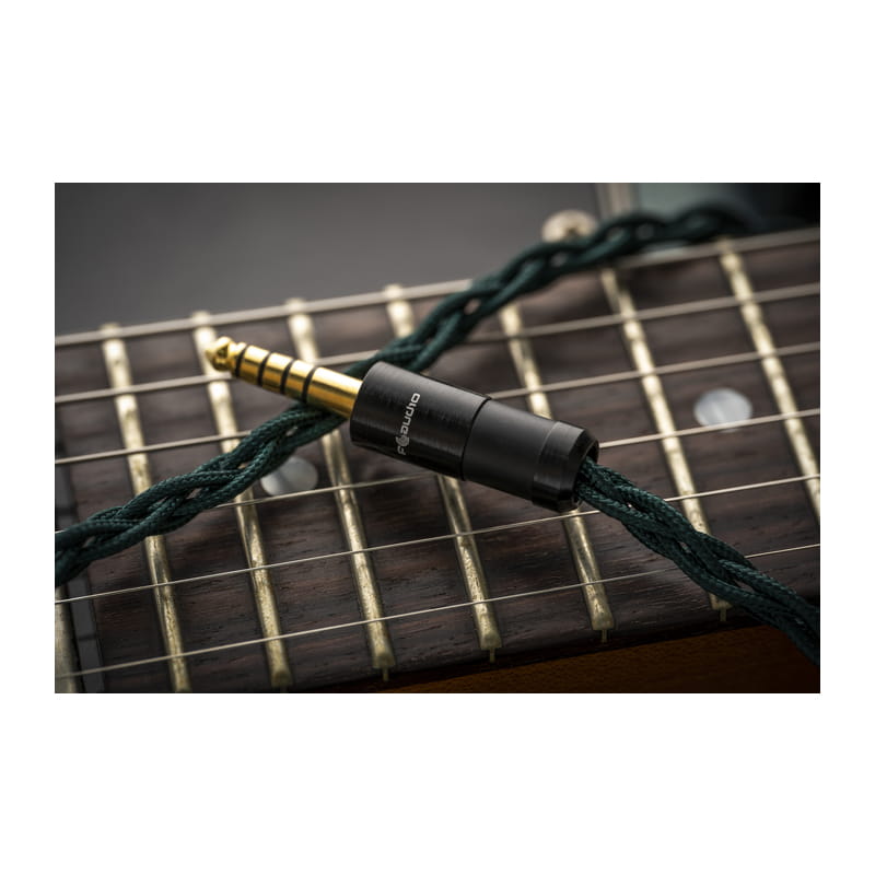 FAudio Spring [FA-2507] 新品｜フジヤエービック