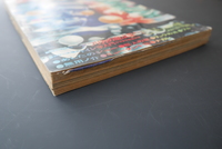 古書 ］週刊少年マガジン1970年（昭和45年）2月15日号』 販売ページ