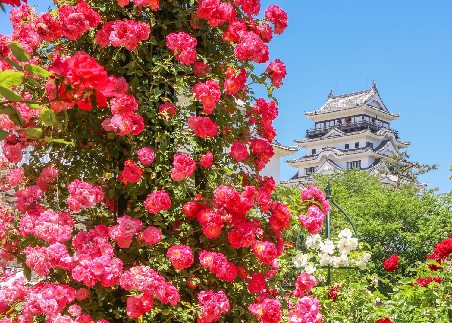 第50回 ふくやま観光写真コンテスト受賞者発表!! | 福山観光