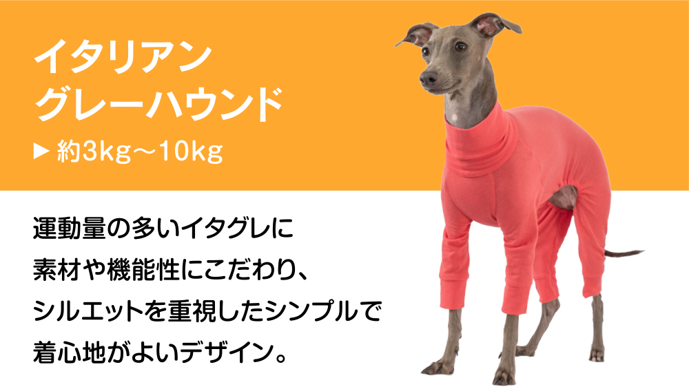 イタグレ服 イタグレウェア イタリアングレーハウンドの服 ラッシュ