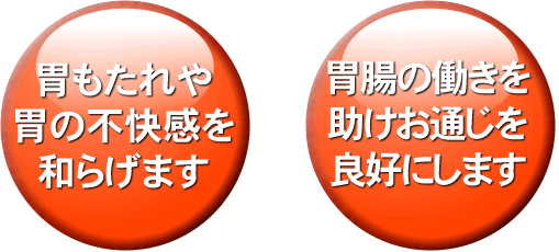 電解水素水生成器 ピュアナノZX-05｜送料無料でお届け