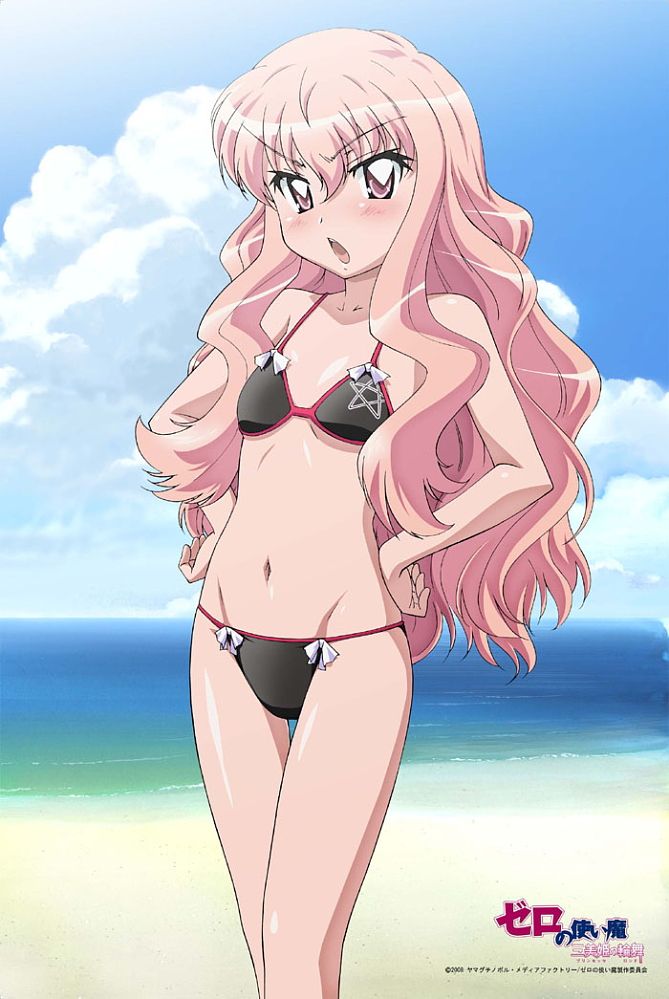 虚無のルイズ スリーブ 50枚セット ゼロの使い魔 2026年最新】ゼロの