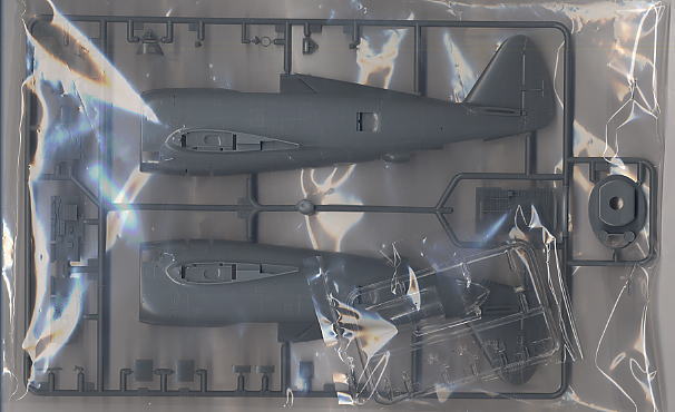 リパブリック P47-D サンダーボルト レイザーバック (プラモデル