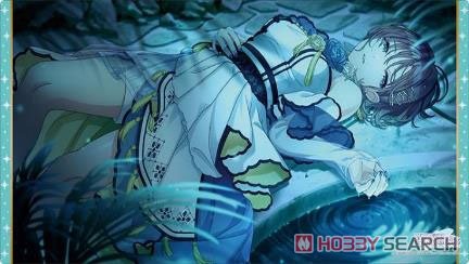 ブシロード ラバーマットコレクション V2 Vol.1399 アイドルマスター