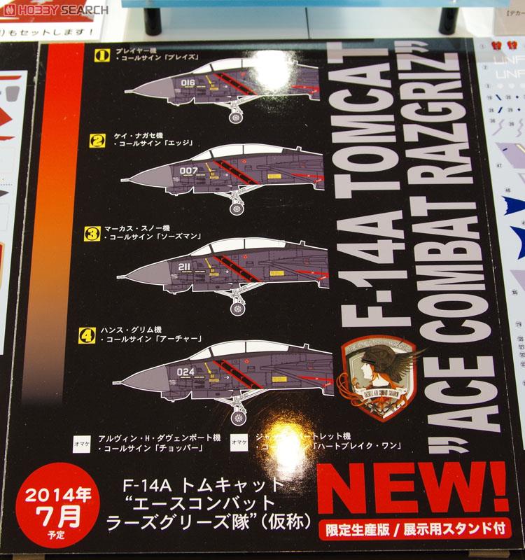 F-14A トムキャット `エースコンバット ラーズグリーズ隊` (プラモデル