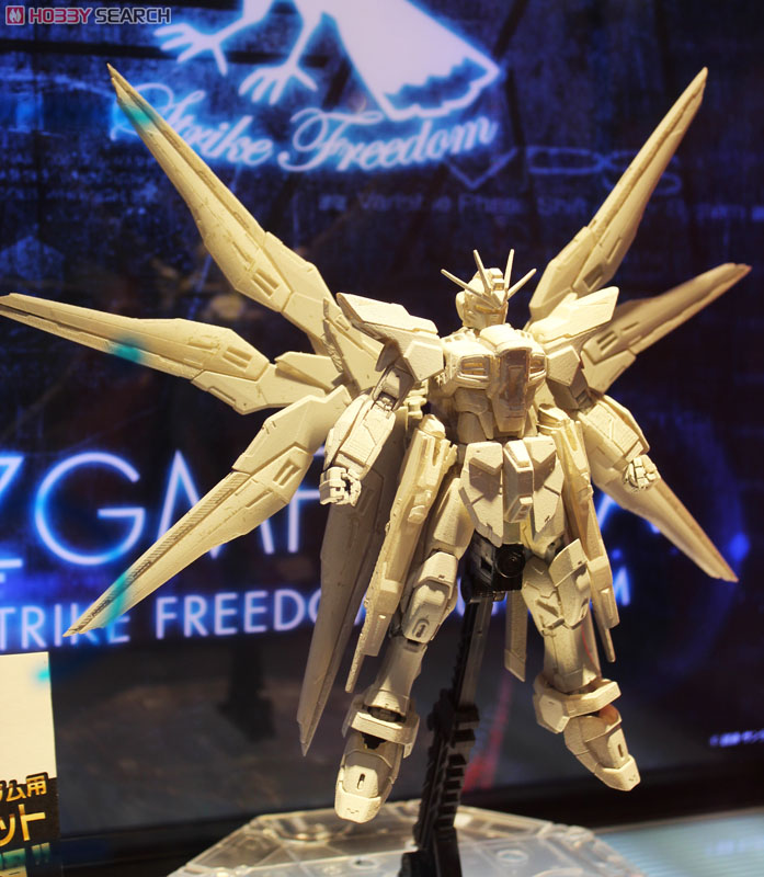 ZGMF-X20A ストライクフリーダムガンダム (RG) (ガンプラ) - ホビー