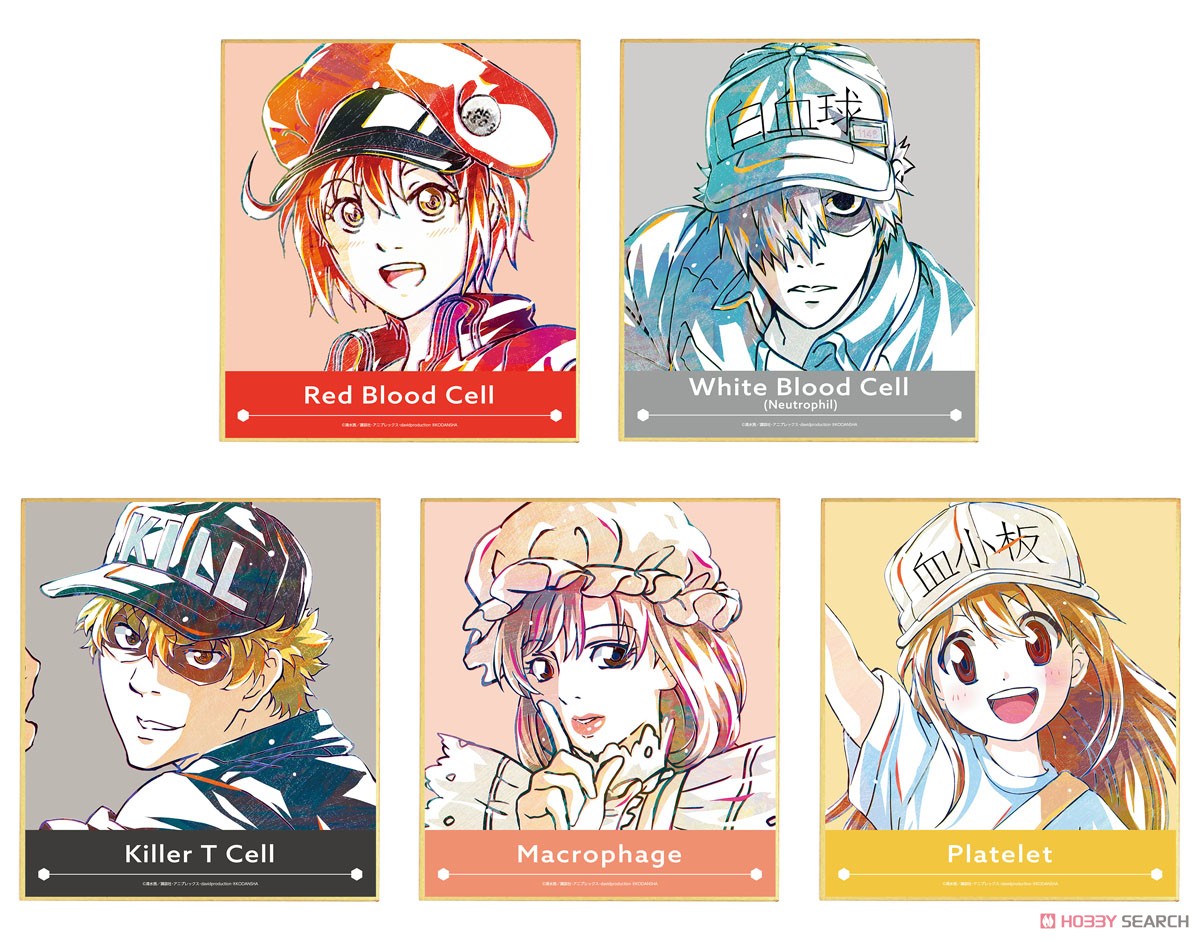 はたらく細胞 赤血球血小板 描き下ろしイラスト色紙 はたらく細胞